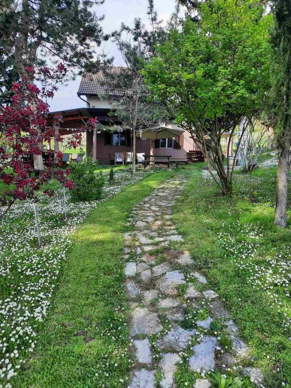 Vila Davidovic-Fruska Gora Mandelos Exterior foto