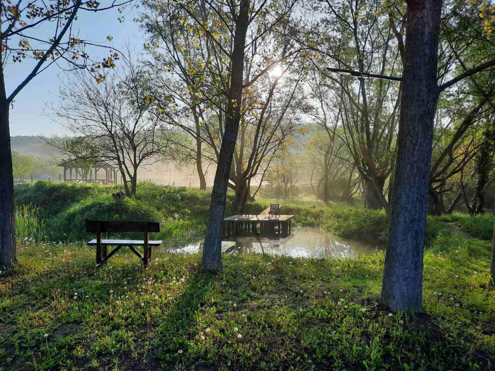 Vila Davidovic-Fruska Gora Mandelos Exterior foto