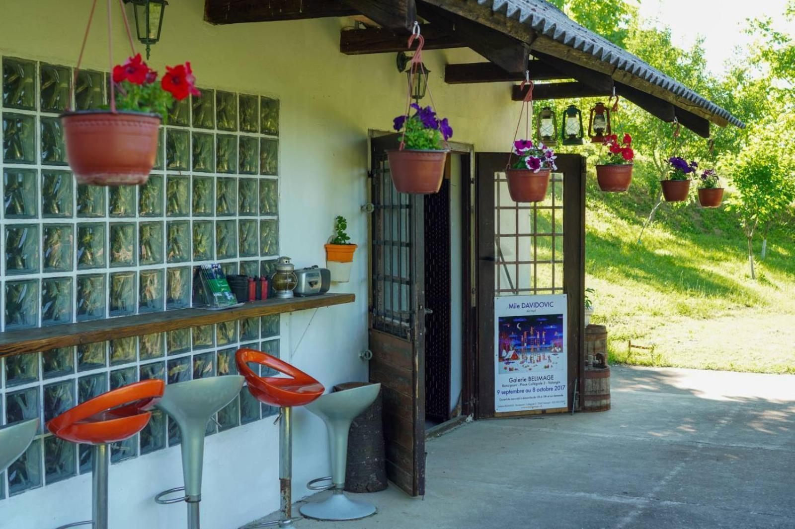 Vila Davidovic-Fruska Gora Mandelos Exterior foto