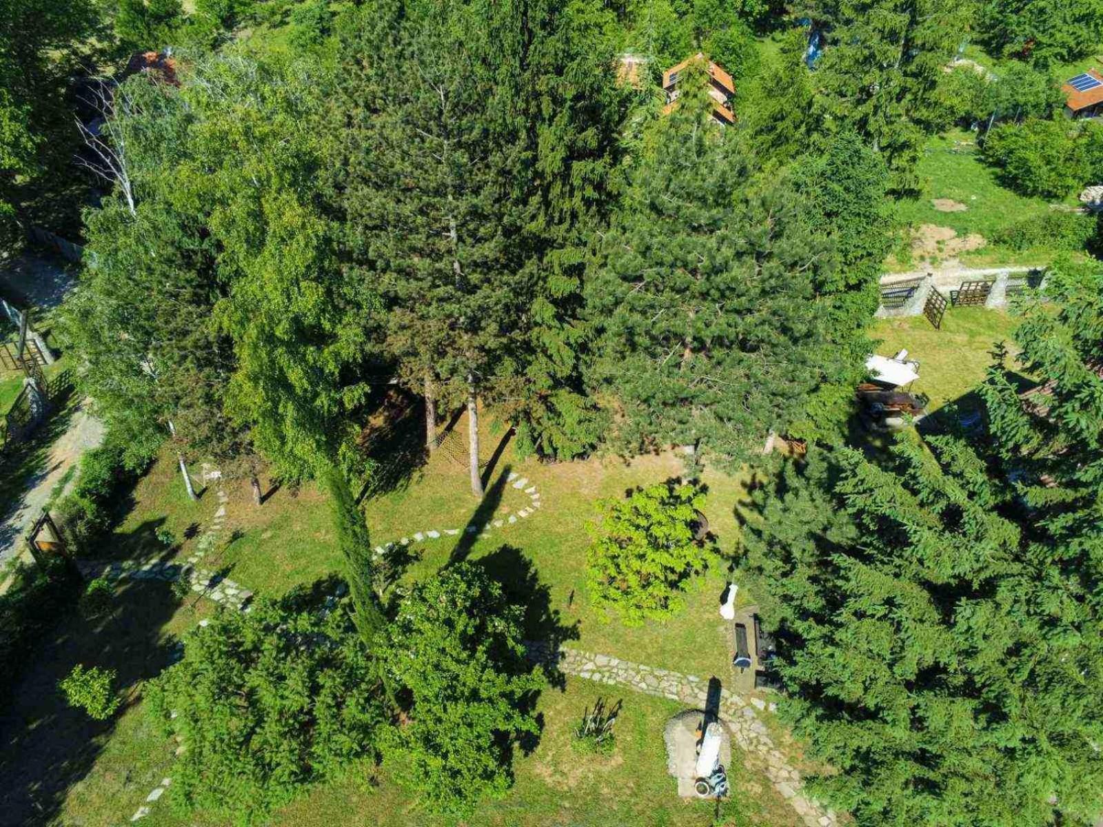 Vila Davidovic-Fruska Gora Mandelos Exterior foto