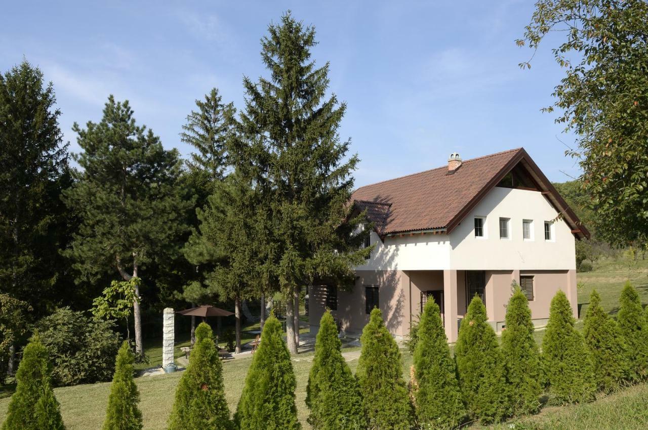Vila Davidovic-Fruska Gora Mandelos Exterior foto