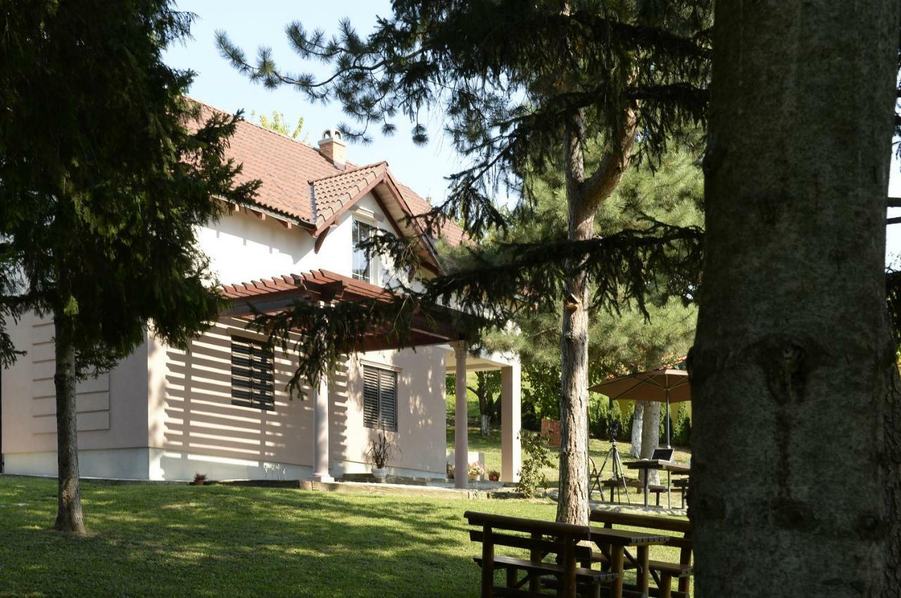 Vila Davidovic-Fruska Gora Mandelos Exterior foto