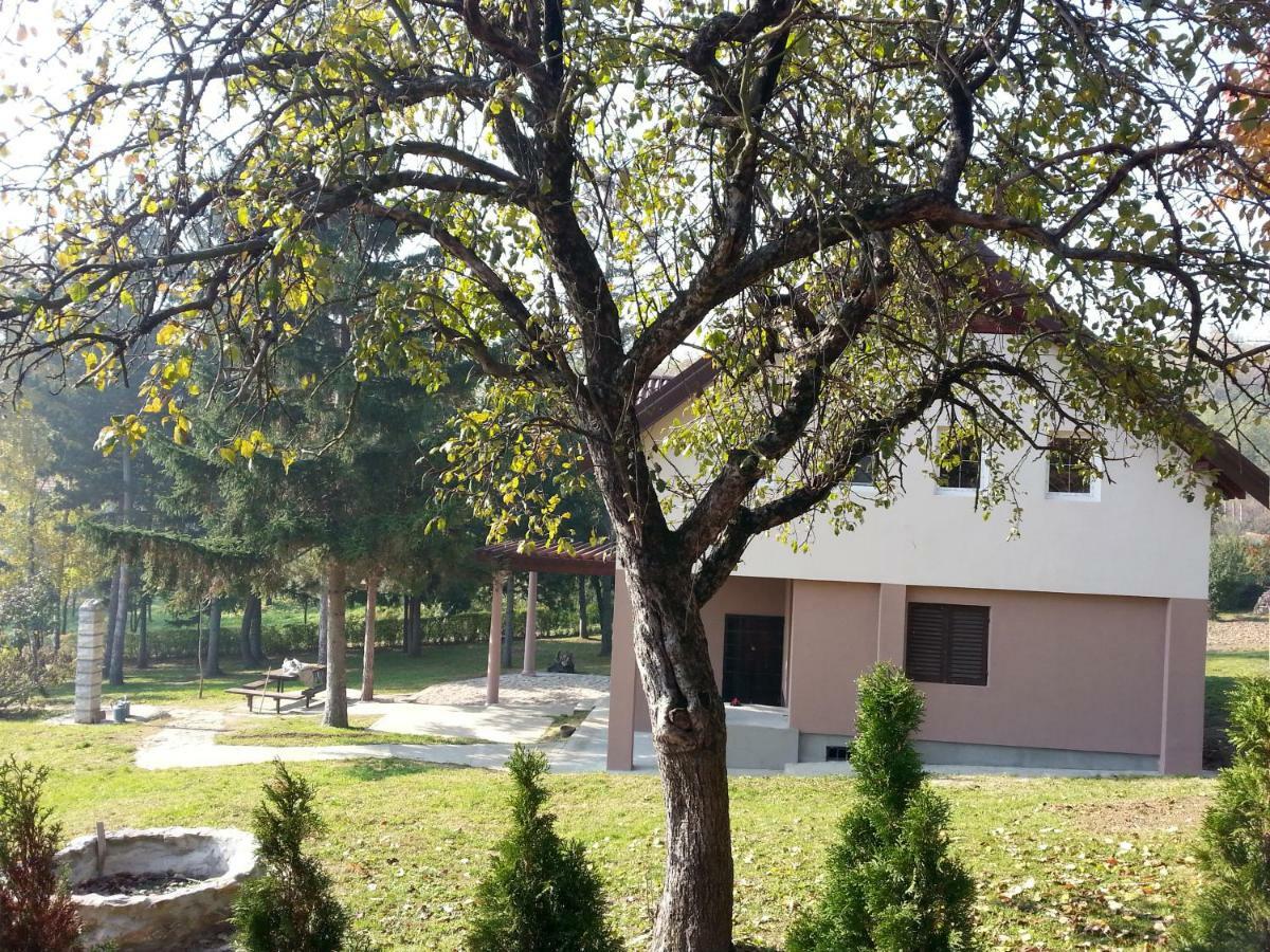 Vila Davidovic-Fruska Gora Mandelos Exterior foto